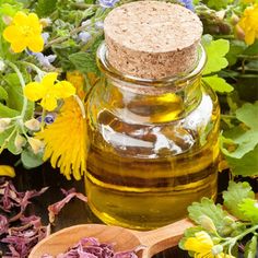 Natural Essential Oil Suppliers