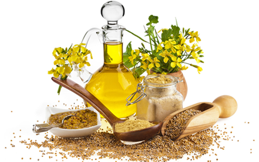 Natural Essential Oils Supplires