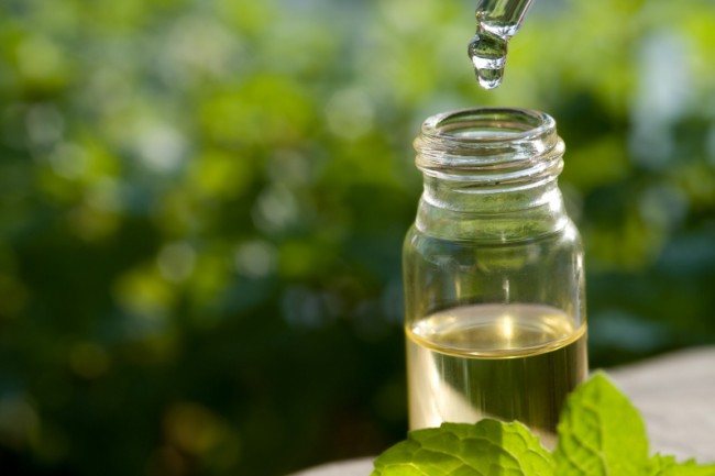 tea tree essential oil