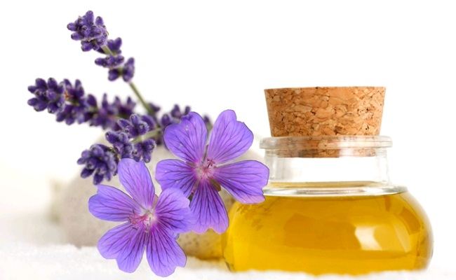 Essential Oil Suppliers, Natural essential oil suppliers, Certified Organic Oils Supplier, Clary Sage oil suppliers