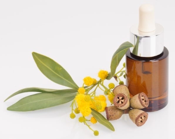 Eucalyptus Oils 